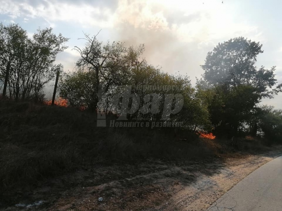 Незагасена цигара или загрято стъкло причинили пожара край село Граничар 